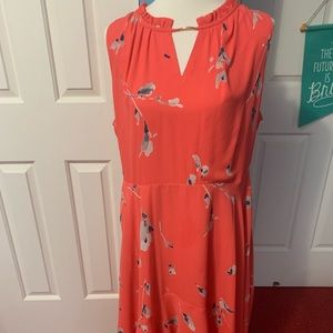 Beautiful Ivanka Trump Dress